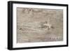 The Old Wood Texture with Natural Patterns-Madredus-Framed Photographic Print