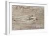 The Old Wood Texture with Natural Patterns-Madredus-Framed Photographic Print