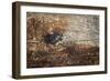 The Old Wood Texture with Natural Patterns-Madredus-Framed Photographic Print