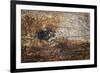 The Old Wood Texture with Natural Patterns-Madredus-Framed Photographic Print