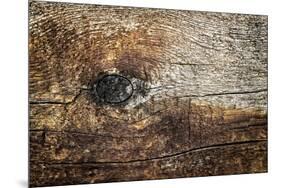 The Old Wood Texture with Natural Patterns-Madredus-Mounted Photographic Print