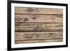 The Old Wood Texture with Natural Patterns-Madredus-Framed Photographic Print