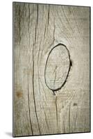 The Old Wood Texture with Natural Patterns-Madredus-Mounted Photographic Print