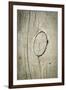 The Old Wood Texture with Natural Patterns-Madredus-Framed Photographic Print