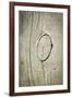 The Old Wood Texture with Natural Patterns-Madredus-Framed Photographic Print