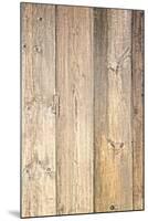 The Old Wood Texture with Natural Patterns-Madredus-Mounted Photographic Print