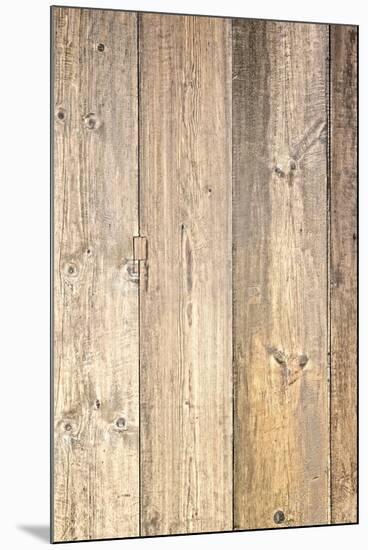 The Old Wood Texture with Natural Patterns-Madredus-Mounted Photographic Print