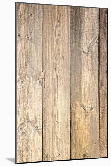 The Old Wood Texture with Natural Patterns-Madredus-Mounted Photographic Print