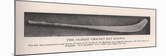 The oldest cricket bat known, 1912-null-Mounted Giclee Print