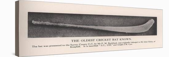 The oldest cricket bat known, 1912-null-Stretched Canvas