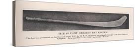The oldest cricket bat known, 1912-null-Stretched Canvas