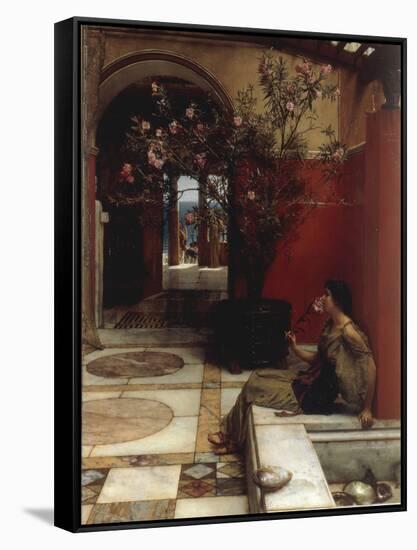 The Oleander-Sir Lawrence Alma-Tadema-Framed Stretched Canvas