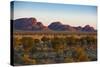 The Olgas (Kata Tjuta), Uluru-Kata Tjuta Nat'l Park, UNESCO Site, Northern Territory, Australia-Michael Runkel-Stretched Canvas