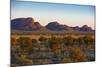 The Olgas (Kata Tjuta), Uluru-Kata Tjuta Nat'l Park, UNESCO Site, Northern Territory, Australia-Michael Runkel-Mounted Photographic Print