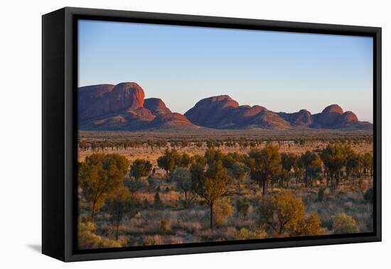 The Olgas (Kata Tjuta), Uluru-Kata Tjuta Nat'l Park, UNESCO Site, Northern Territory, Australia-Michael Runkel-Framed Stretched Canvas