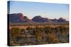 The Olgas (Kata Tjuta), Uluru-Kata Tjuta Nat'l Park, UNESCO Site, Northern Territory, Australia-Michael Runkel-Stretched Canvas