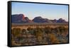 The Olgas (Kata Tjuta), Uluru-Kata Tjuta Nat'l Park, UNESCO Site, Northern Territory, Australia-Michael Runkel-Framed Stretched Canvas