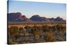 The Olgas (Kata Tjuta), Uluru-Kata Tjuta Nat'l Park, UNESCO Site, Northern Territory, Australia-Michael Runkel-Stretched Canvas