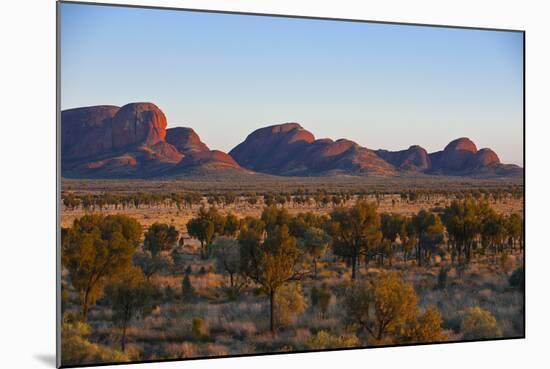 The Olgas (Kata Tjuta), Uluru-Kata Tjuta Nat'l Park, UNESCO Site, Northern Territory, Australia-Michael Runkel-Mounted Photographic Print