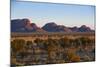 The Olgas (Kata Tjuta), Uluru-Kata Tjuta Nat'l Park, UNESCO Site, Northern Territory, Australia-Michael Runkel-Mounted Photographic Print