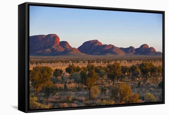 The Olgas (Kata Tjuta), Uluru-Kata Tjuta Nat'l Park, UNESCO Site, Northern Territory, Australia-Michael Runkel-Framed Stretched Canvas