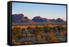 The Olgas (Kata Tjuta), Uluru-Kata Tjuta Nat'l Park, UNESCO Site, Northern Territory, Australia-Michael Runkel-Framed Stretched Canvas