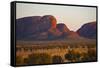 The Olgas (Kata Tjuta), Uluru-Kata Tjuta Nat'l Park, UNESCO Site, Northern Territory, Australia-Michael Runkel-Framed Stretched Canvas