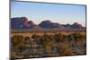 The Olgas (Kata Tjuta), Uluru-Kata Tjuta Nat'l Park, UNESCO Site, Northern Territory, Australia-Michael Runkel-Mounted Photographic Print