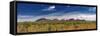 The Olgas, Northern Territory, Australia-Michele Falzone-Framed Stretched Canvas