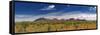The Olgas, Northern Territory, Australia-Michele Falzone-Framed Stretched Canvas