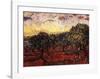 The Olive Grove, c.1889-Vincent van Gogh-Framed Art Print