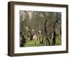 The Olive Grove, C.1910-John Singer Sargent-Framed Giclee Print
