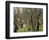 The Olive Grove, C.1910-John Singer Sargent-Framed Giclee Print