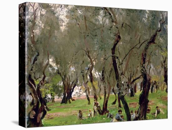 The Olive Grove, C.1910-John Singer Sargent-Stretched Canvas