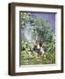 The Olive Harvest, 1884 by Peder Monsted-Peder Monsted-Framed Giclee Print