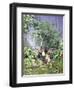 The Olive Harvest, 1884 by Peder Monsted-Peder Monsted-Framed Giclee Print