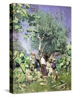 The Olive Harvest, 1884 by Peder Monsted-Peder Monsted-Stretched Canvas