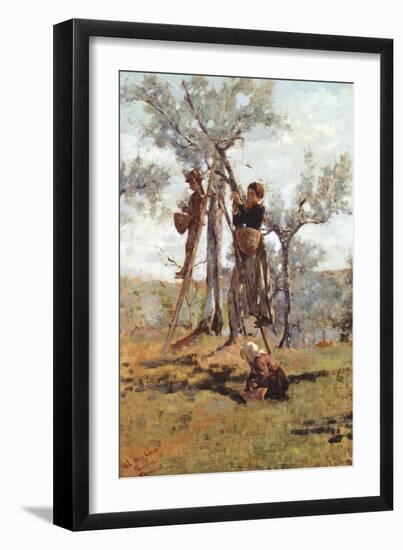 The Olive Harvest, Ca 1892-Niccolo Cannicci-Framed Giclee Print