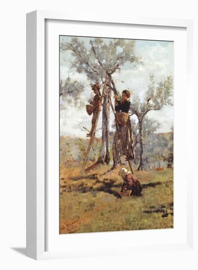 The Olive Harvest, Ca 1892-Niccolo Cannicci-Framed Giclee Print