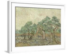 The Olive Orchard, 1889-Vincent van Gogh-Framed Giclee Print