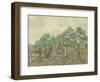 The Olive Orchard, 1889-Vincent van Gogh-Framed Giclee Print