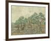 The Olive Orchard, 1889-Vincent van Gogh-Framed Giclee Print