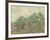 The Olive Orchard, 1889-Vincent van Gogh-Framed Art Print