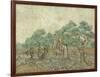 The Olive Orchard, 1889-Vincent van Gogh-Framed Art Print