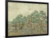 The Olive Orchard, 1889-Vincent van Gogh-Framed Art Print