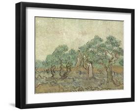 The Olive Orchard, 1889-Vincent van Gogh-Framed Art Print