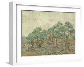 The Olive Orchard, 1889-Vincent van Gogh-Framed Art Print