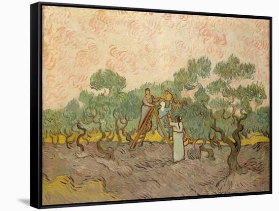 The Olive Pickers, Saint-Remy, 1889-Vincent van Gogh-Framed Stretched Canvas