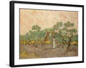 The Olive Pickers, Saint-Remy, 1889-Vincent van Gogh-Framed Giclee Print