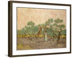 The Olive Pickers, Saint-Remy, 1889-Vincent van Gogh-Framed Giclee Print